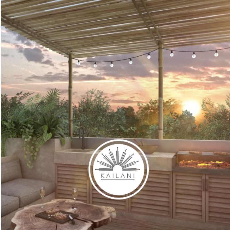 Servicios 11 Q. ROO. Lofts, Penthouse